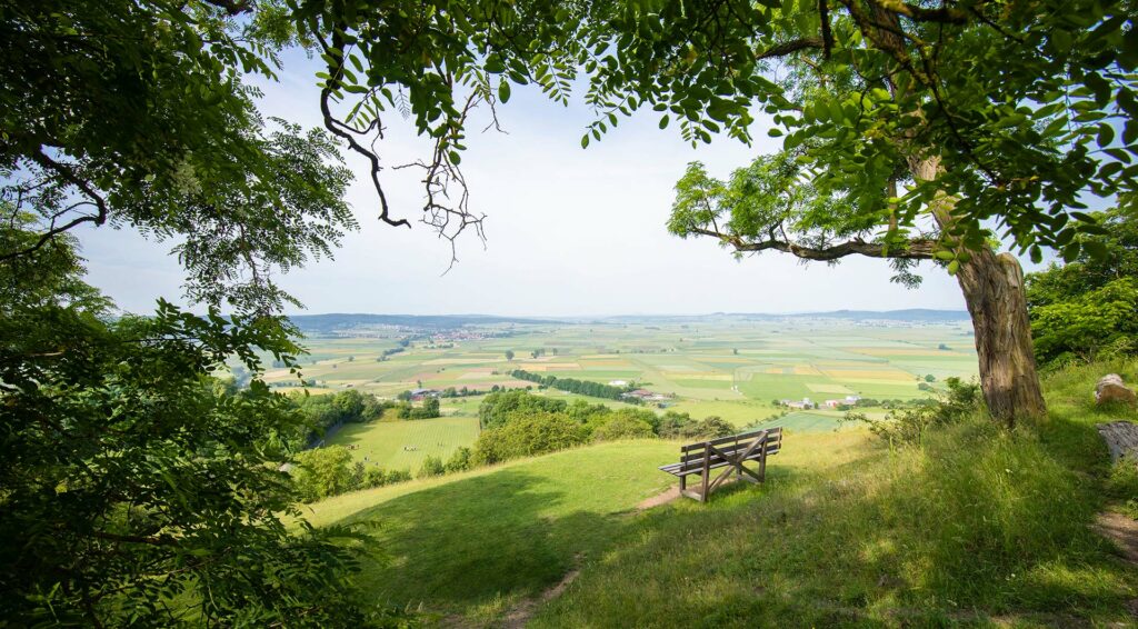 Bilck von der Amöneburg in den Ebsdorfer Grund bei Marburg